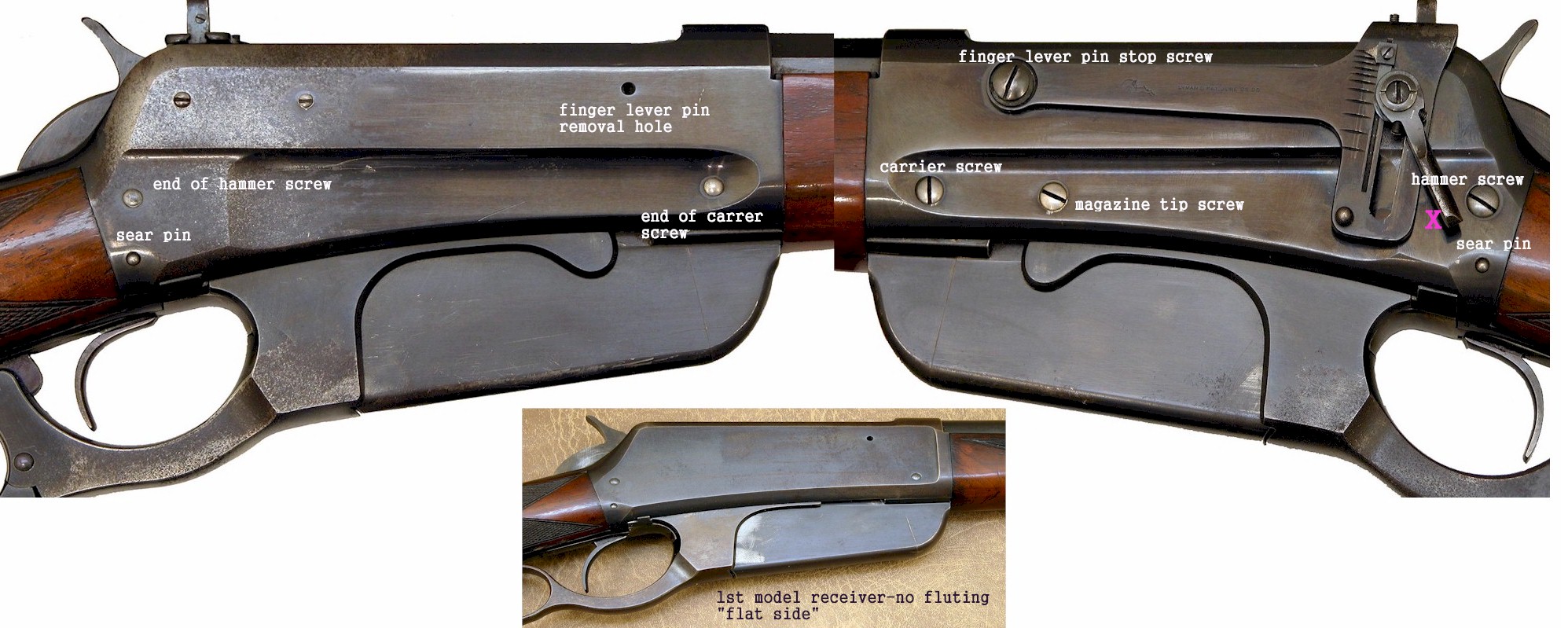 A FREE Download ... Winchester 1895 receiver screw identifier